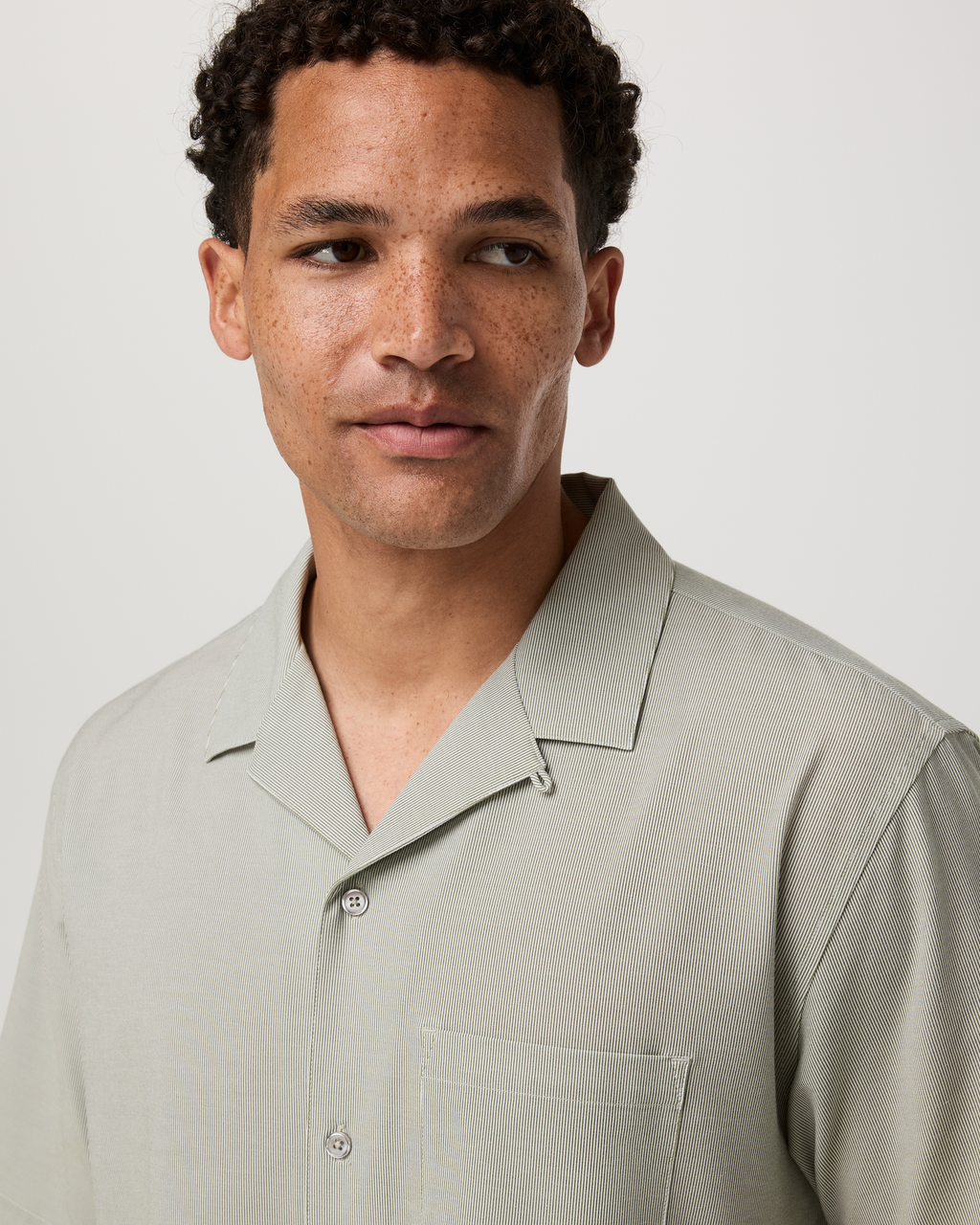 Short Sleeve Bridge Shirt - Camp Collar | Herb Micro Stripe
