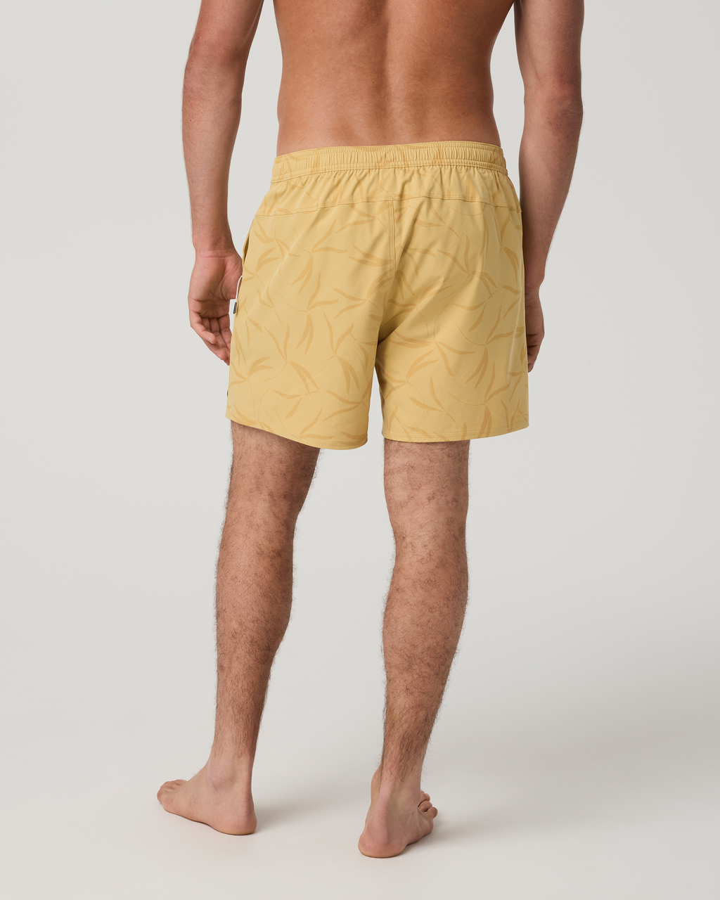 Maverick Volley Short Lined | Brass Vera